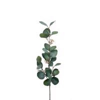 Eucalyptus gren 70 cm. grå